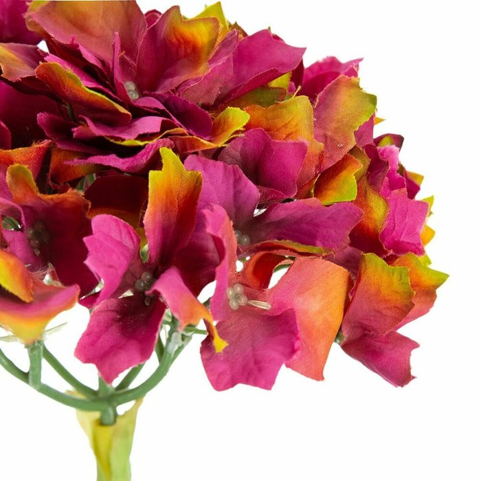 Растение декоративное Гортензия красно-розового цвета - лучшие Декоративные цветы в INMYROOM