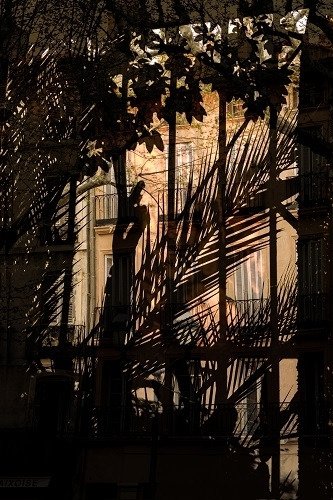 Постер Conservatory