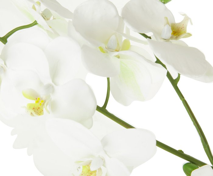 Искусственные цветы «Орхидея» из пластика  - купить Декоративные цветы по цене 1020.0