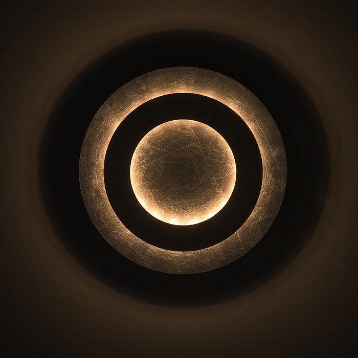 Потолочный светодиодный светильник Иланг серебряного цвета - лучшие Потолочные светильники в INMYROOM