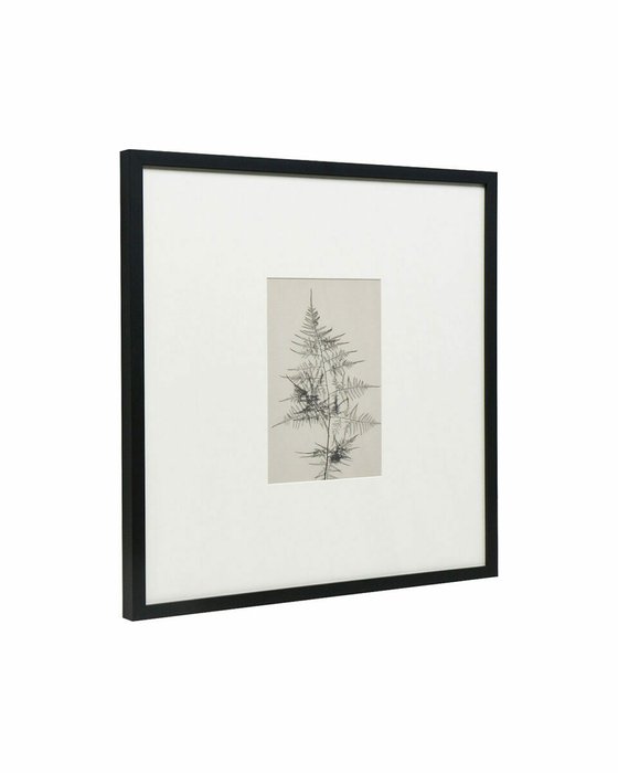 Интерьерный постер Floral – IV 50х60 в раме черного цвета - купить Принты по цене 12900.0 Интерьерный постер Floral – IV 50х60 в раме черного цвета - купить Принты по цене 12900.0