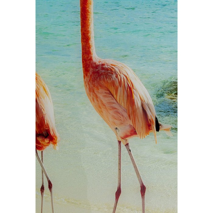 Картина Flamingo на закаленном стекле - лучшие Картины в INMYROOM Картина Flamingo на закаленном стекле - лучшие Картины в INMYROOM