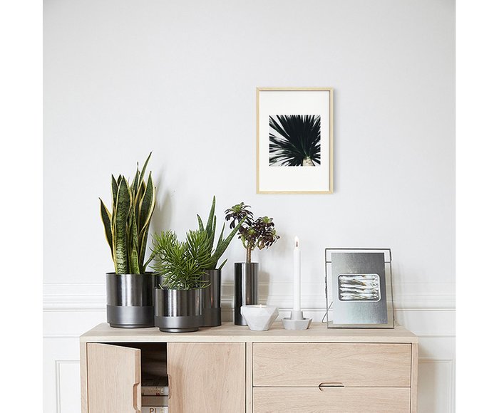 Панно Botanic в рамке из массива ели - купить Принты по цене 4300