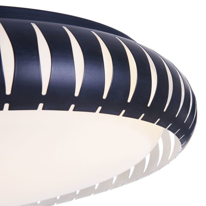 Потолочный светильник Assanta черно-белого цвета - лучшие Потолочные светильники в INMYROOM