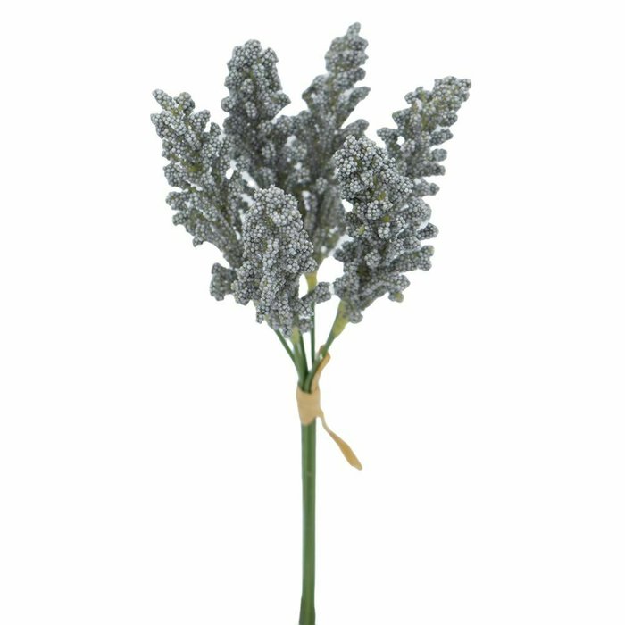 Декоративное растение Лаванда бело-серого цвета - купить Декоративные цветы по цене 470.0