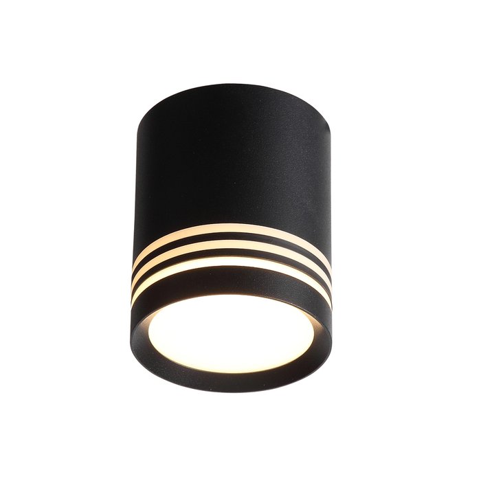  Светильник потолочный Cerione черного цвета - купить Потолочные светильники по цене 903.0