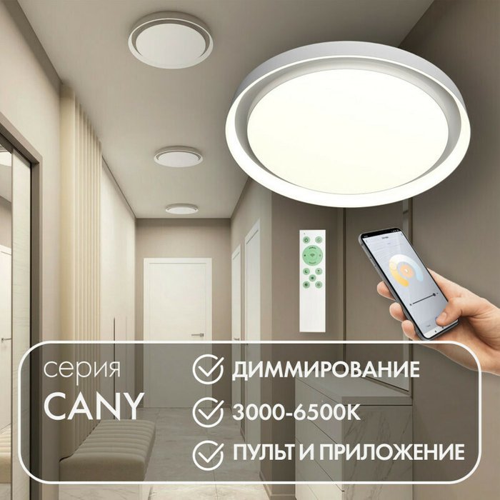 Потолочный светильник Cany DK6516-WH (пластик, цвет белый) - купить Потолочные светильники по цене 15290.0