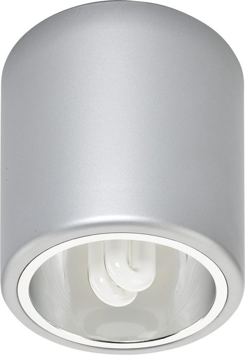 Потолочный светильник Downlight серебряного цвета