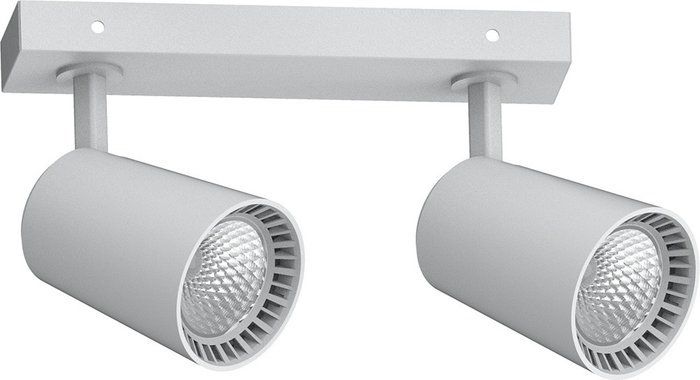 Светодиодный светильник Feron HL212 накладной 2*12W 4000K белый поворотный