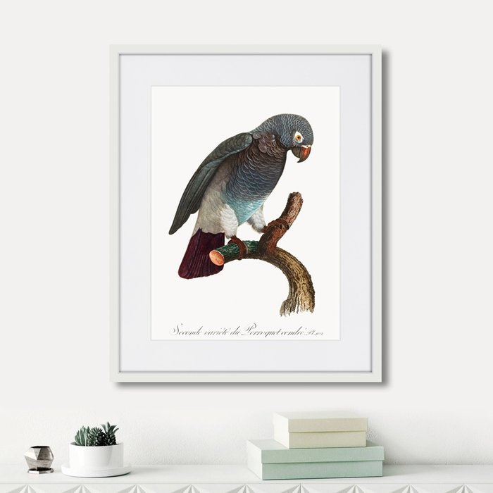 Набор из трех картин Beautiful parrots №2  - лучшие Картины в INMYROOM