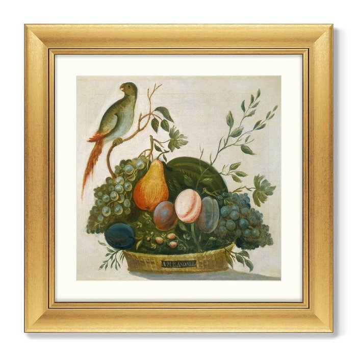 Репродукция картины в раме Basket of Fruit with Parrot, 1777г. - купить Картины по цене 13799.0