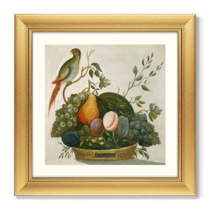 Репродукция картины в раме Basket of Fruit with Parrot, 1777г. - купить Картины по цене 16999.0