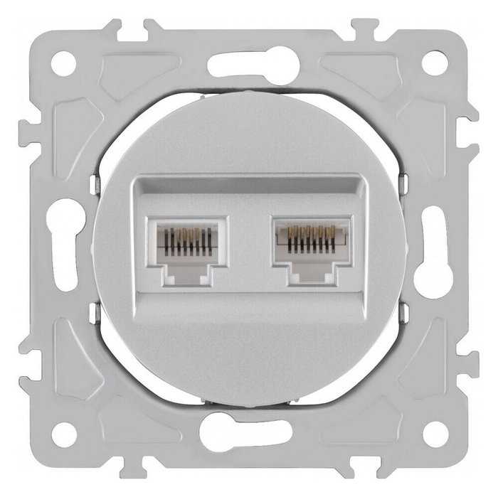 Розетка двойная RJ-11 и Ethernet RJ-45, без рамки 202.44-1.silver - купить Розетки по цене 523.0