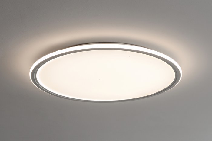 Потолочный светильник с пультом Zortes белого цвета - лучшие Потолочные светильники в INMYROOM