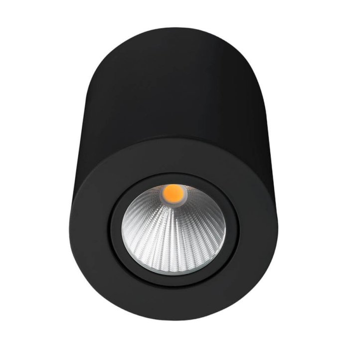 Потолочный светильник SP-FOCUS 029531 (металл, цвет черный)