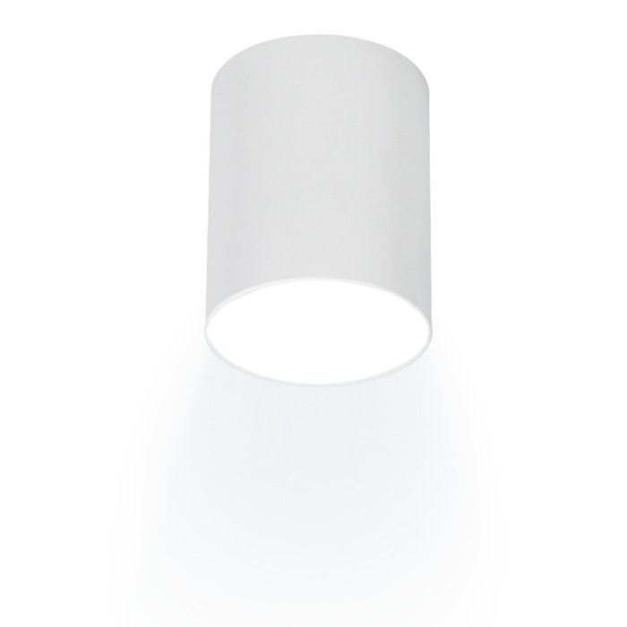 Накладной светильник Arton 59976 0 (алюминий, цвет белый) - купить Накладные споты по цене 1043.0