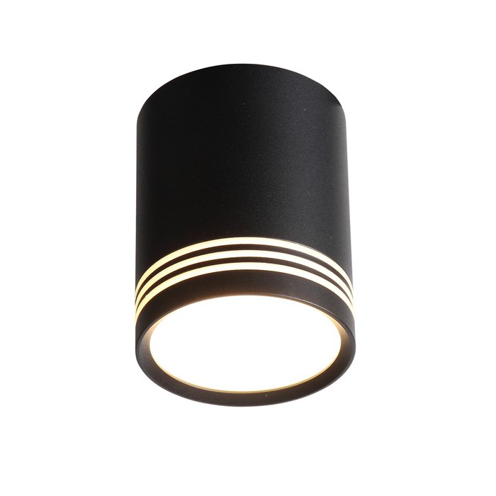Светильник потолочный Cerione черного цвета - купить Потолочные светильники по цене 2214.0