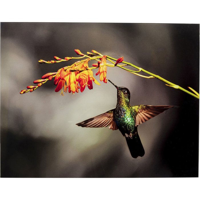 Картина Colibri 70х90 со стеклом Картина Colibri 70х90 со стеклом