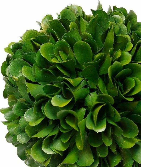 Шар декоративный Самшит 10 зеленого цвета - купить Декоративные цветы по цене 1278.0