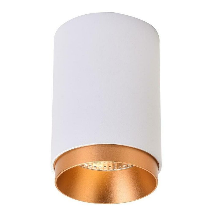 Потолочный светодиодный светильник Wertmark Stecken WE801.01.007 - лучшие Потолочные светильники в INMYROOM