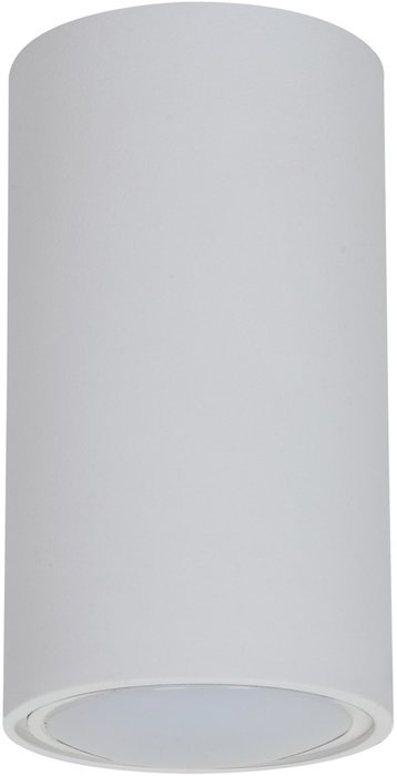 Накладной светильник OL15 Б0049041 (алюминий, цвет белый)