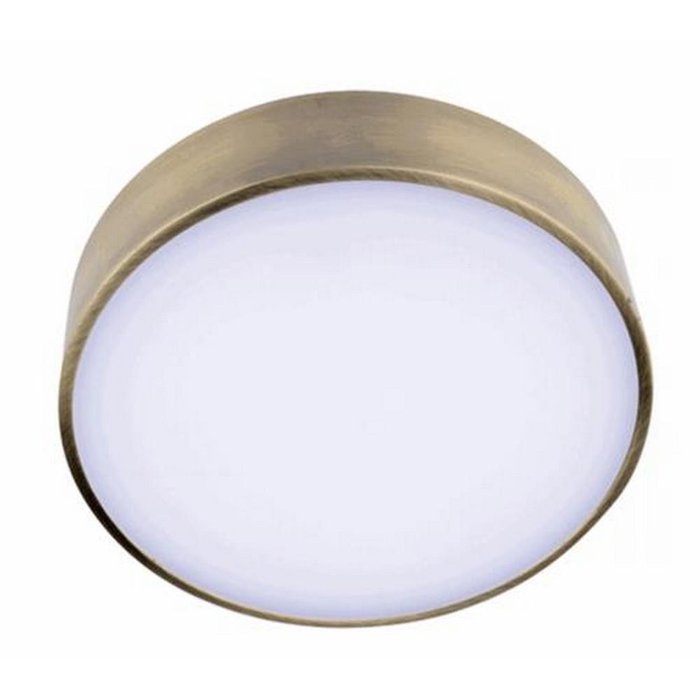 Потолочный светодиодный светильник Aployt Evon APL.0113.29.18 - купить Потолочные светильники по цене 3220.0