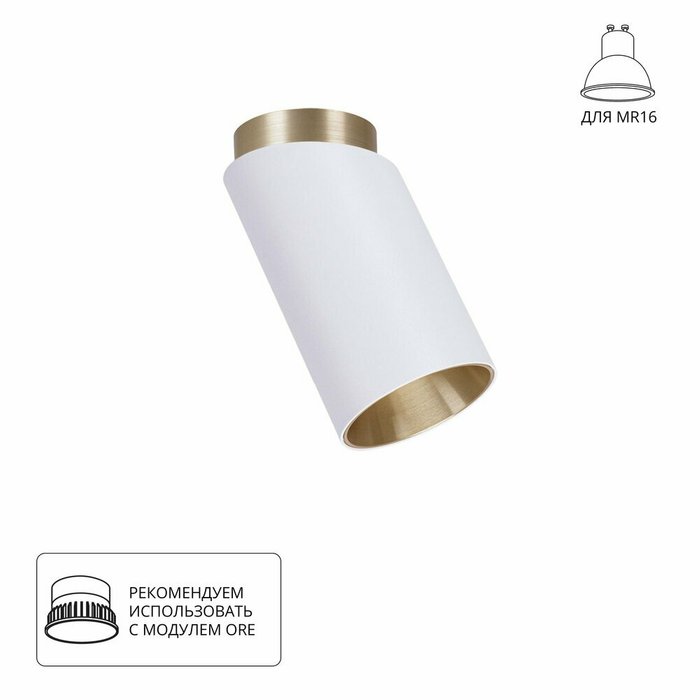 Точечный накладной светильник Arte Lamp CONE A5360PL-1WH Точечный накладной светильник Arte Lamp CONE A5360PL-1WH