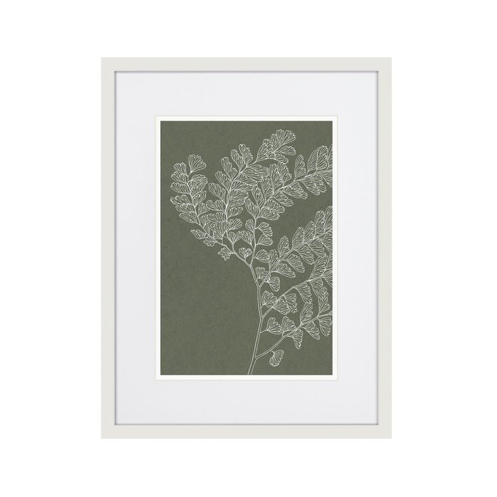 Репродукция картины The fern collection №15 - купить Картины по цене 2995.0