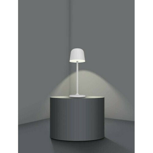 Лампа настольная Eglo Mannera 900458 - лучшие Настольные лампы в INMYROOM