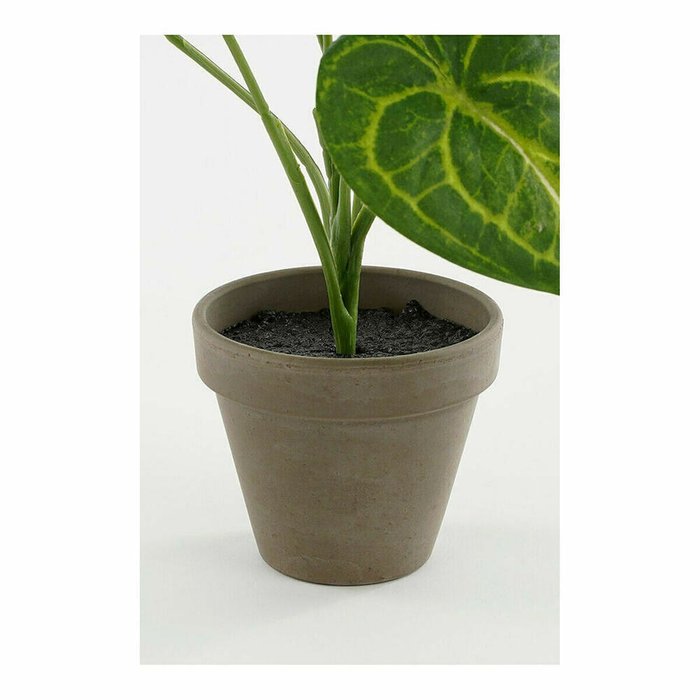 Декоративное растение Caladium 21 x 28 cm Искусственная - лучшие Декоративные цветы в INMYROOM Декоративное растение Caladium 21 x 28 cm Искусственная - лучшие Декоративные цветы в INMYROOM