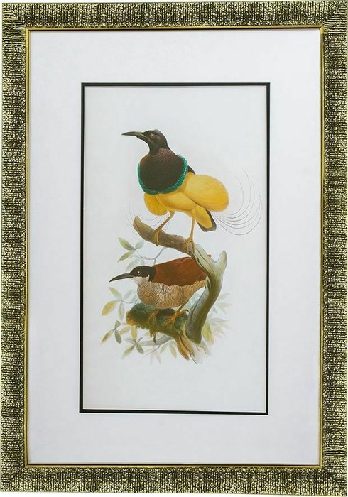 Набор из двух принтов Птицы 50x70 в раме золотого цвета - лучшие Принты в INMYROOM
