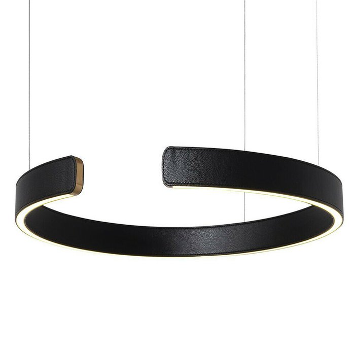 Подвесной светодиодный светильник Ring черного цвета - купить Подвесные светильники по цене 30440.0