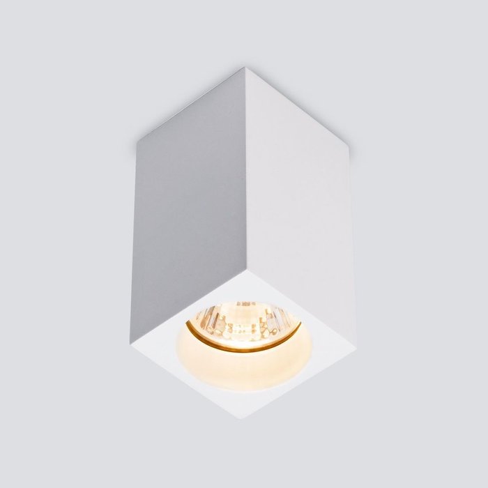 Накладной потолочный светильник белого цвета - купить Накладные споты по цене 1460.0