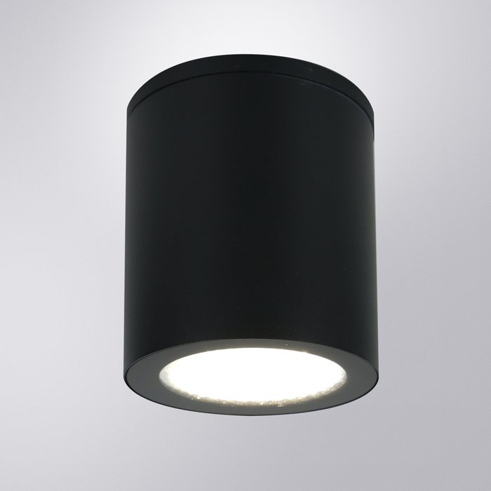 Уличный потолочный светильник Arte Lamp TORCULAR A1813PF-1BK - купить Потолочные уличные светильники по цене 4990.0