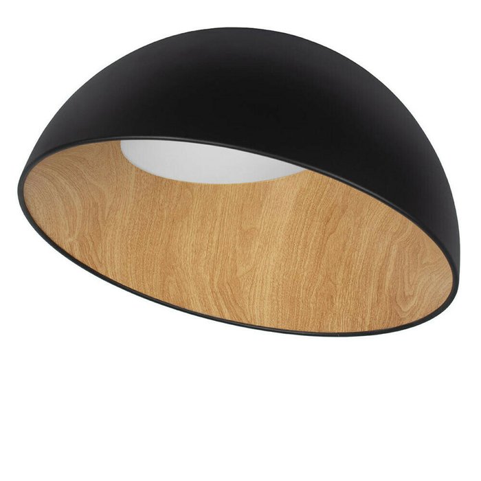 Потолочный светодиодный светильник Loft IT Egg 10197/500 Black