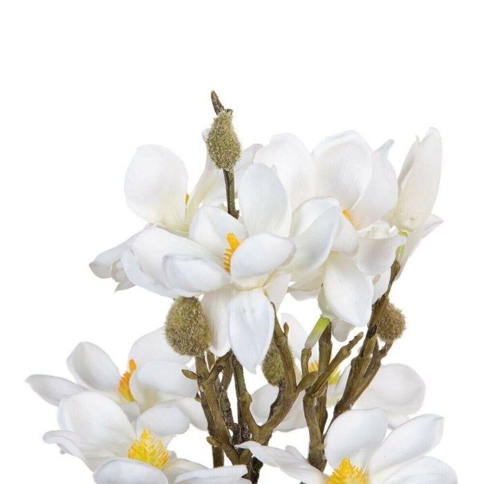 Букет Белый Зеленый 37 x 20 x 41 cm Magnolia - лучшие Декоративные цветы в INMYROOM