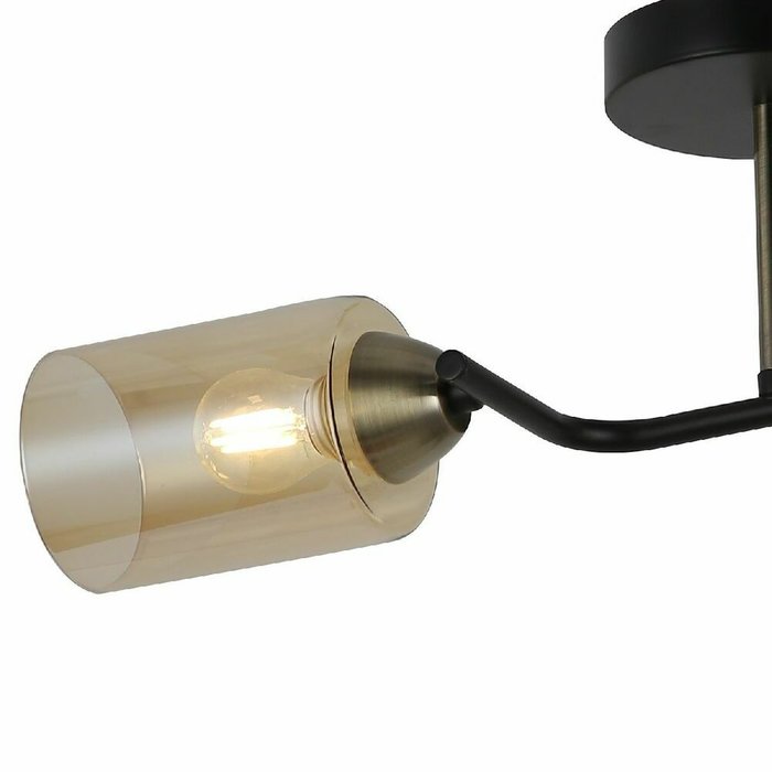 Потолочный светильник IL8148-2COU-79 BK BR (стекло, цвет коричневый) - лучшие Потолочные светильники в INMYROOM