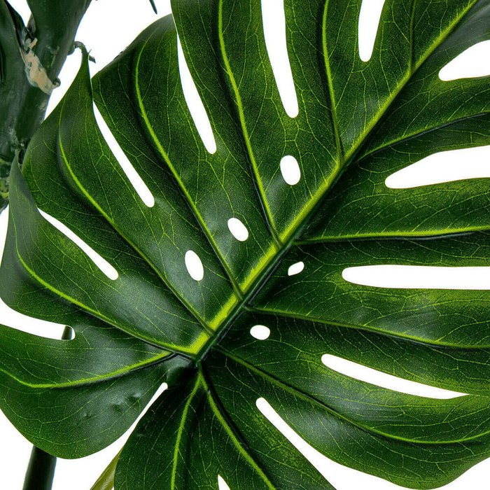 Декоративное растение Пластик Monstera 170 cm - лучшие Декоративные цветы в INMYROOM