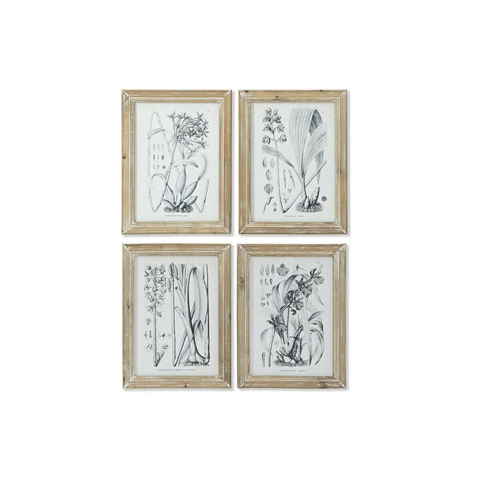 Картина современный Ботанические растения 30 x 2 x 40 cm (4 штук) Картина современный Ботанические растения 30 x 2 x 40 cm (4 штук)