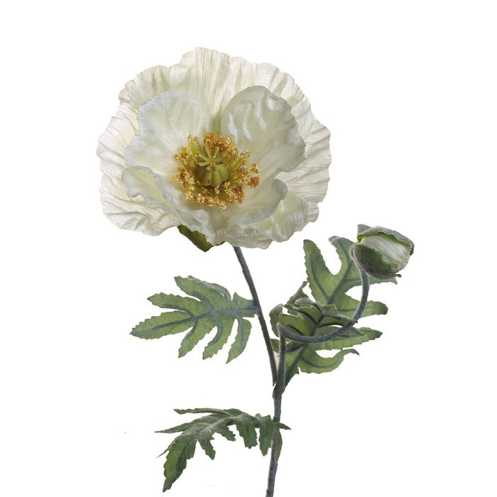 Искуственный цветок Мак белого цвета - лучшие Декоративные цветы в INMYROOM