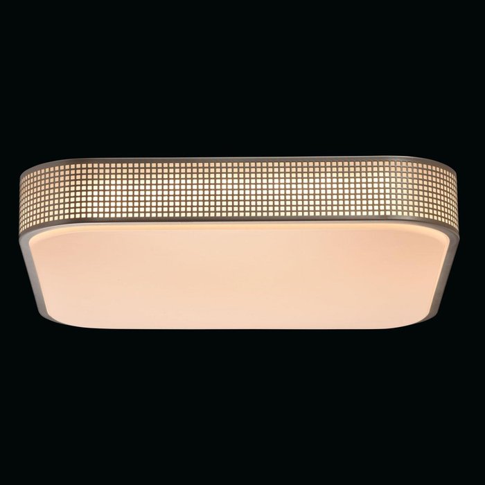 Потолочный светодиодный светильник ДУ Ривз  - лучшие Потолочные светильники в INMYROOM