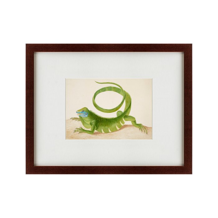 Картина Green Iguana 1701 г. - купить Картины по цене 5995.0