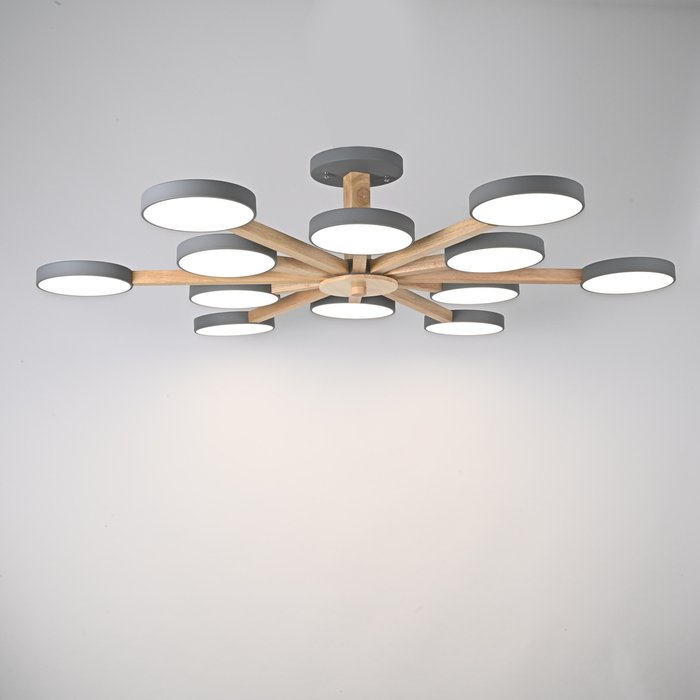 Потолочный светильник TURNA L12 Grey - купить Потолочные люстры по цене 60690.0