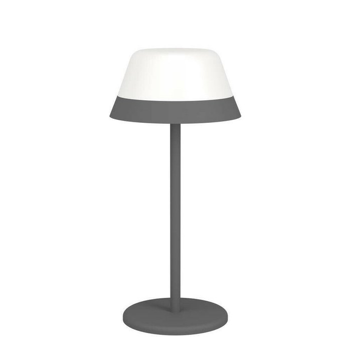 Лампа настольная Eglo Meggiano 900978