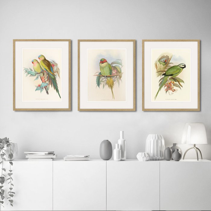 Набор из трех картин Love parrots
