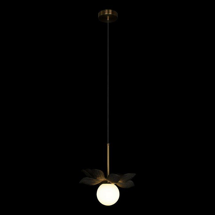 Светильник подвесной Monro черного цвета - лучшие Подвесные светильники в INMYROOM