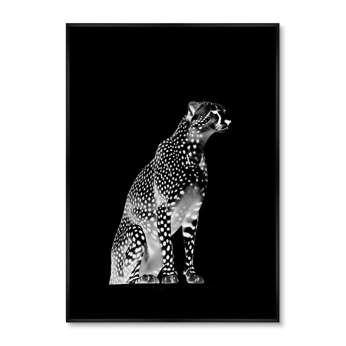 Набор из двух репродукций картин Cheetahs, 2024 год - купить Картины по цене 49998.0