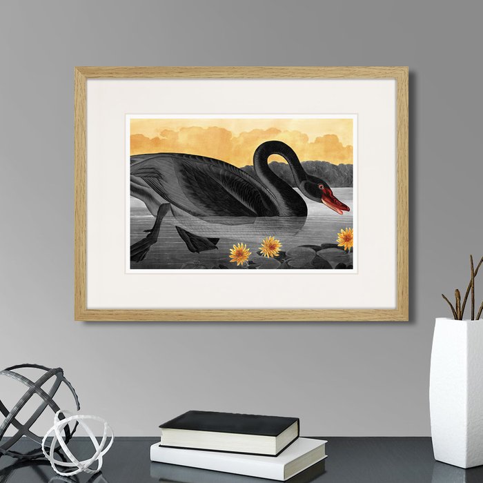 Набор из дух репродукций картин The swans pair in love  - купить Картины по цене 5990.0