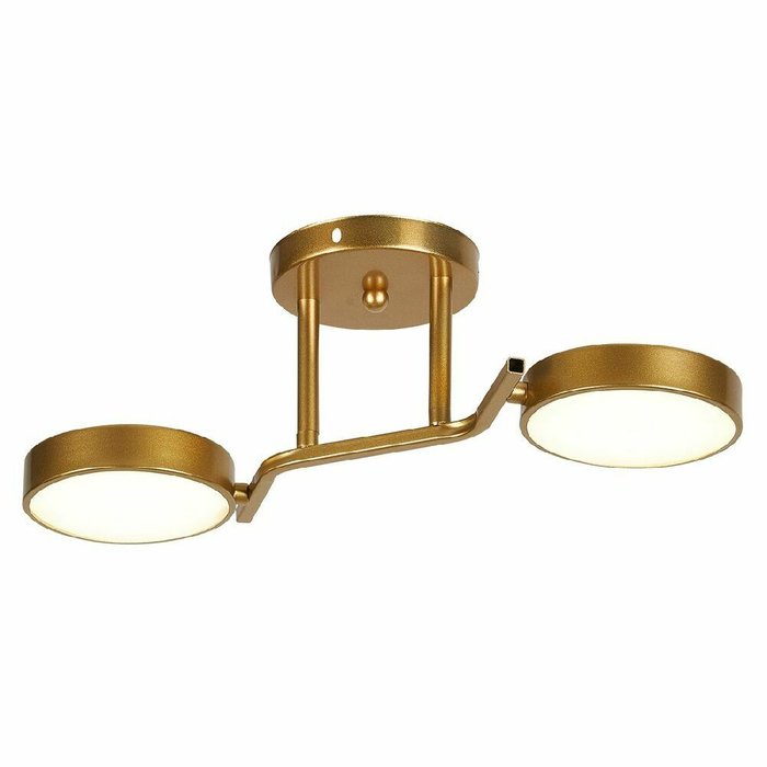 Потолочный светильник Starlight 10273/2LED (пластик, цвет белый) Потолочный светильник Starlight 10273/2LED (пластик, цвет белый)