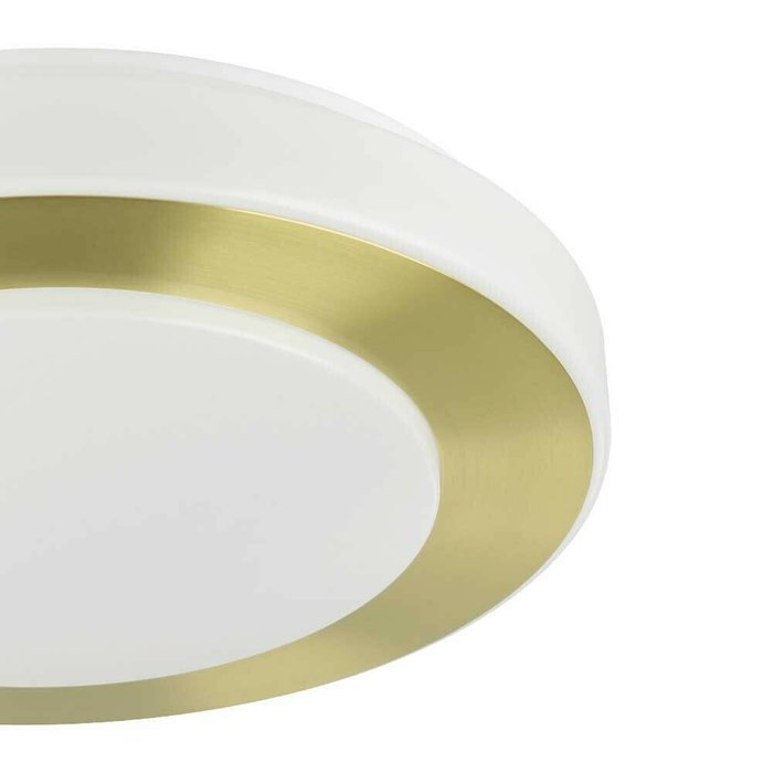 Светильник потолочный Eglo Led Carpi 900369 - лучшие Потолочные светильники в INMYROOM